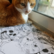Illustration for article titled Fur Face Friday!
